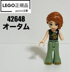 LEGO レゴフレンズシリーズ　 42648 より　オータム