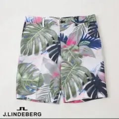 J.LINDEBERG ボタニカル柄 メンズパンツ　29