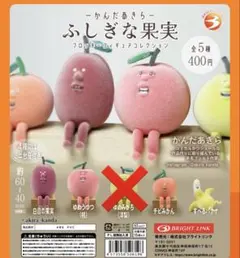 新品ふしぎな果実 フロッキーフィギュアコレクション4種セット