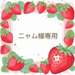 *ニャム*様専用ページ