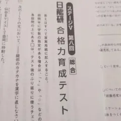値下げ❣️日能研　6年後期合格力育成テスト&実践テスト 日能研テスト 6年生 日能研6年後期合格力育成テスト・合格力