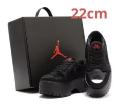 【新品未使用】22.0cm Nike Air Jordan 1 Brooklyn