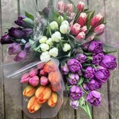 ぽんちゃん様 リクエスト 3点 まとめ商品