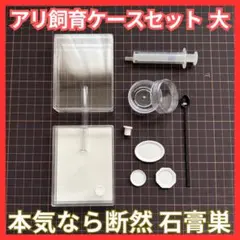 Item thumbnail for item 8f463c8a-30ab-48a8-aa47-4b5dad281424