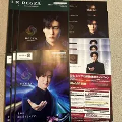 SnowMan 目黒蓮　最新版　REGZA カタログ チラシ セット