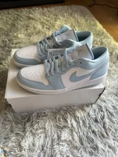 Nike Air Jordan 1 Low AluminumDC0774-141