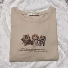MAJESTIC LEGON 子猫プリント Tシャツ
