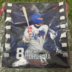 中日ドラゴンズ ガチャ 巾着 大島洋平