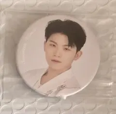 【公式】ウジ 缶バッジ 舞い落ちる花びら HMV seventeenセブチ