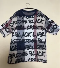 BLACK LABEL CRESTBRIDGE Tシャツ M ロゴチェック