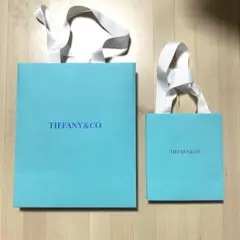 Tiffany & Co. ショップ袋 、銀座本店限定チャーム - メルカリ