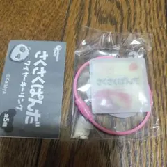 さくさくぱんだ ワイヤーキーリング　ガチャ