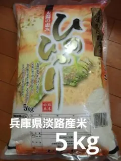 兵庫県淡路産 　ひのひかり　 精米5kg　　 令和7年度産のサムネイル