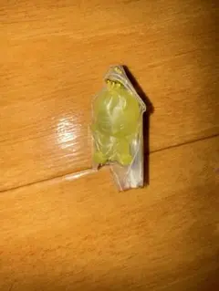 Stray Kids SKZOO スキズ　グミ&チャーム　ポガリ　Felix