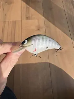 m36253629982_1.jpg?1768975359