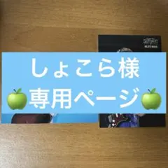 しょこら様 まとめ買い専用ページ