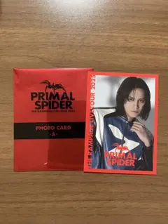 THERAMPAGE ランペ トレカ 龍ランダムトレカ PRIMALSPIDER