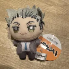 ハイキュー　ぬいぷりけ mini 制服 木兎光太郎 木兎