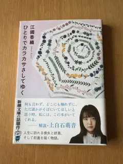 ひとりでカラカサさしてゆく