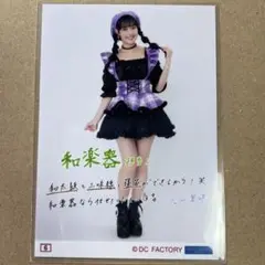 入江里咲