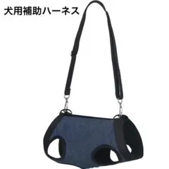 Item thumbnail for item 87a01109-09d4-4984-8105-717c0a4eebcc