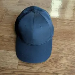 Item thumbnail for item 088edf8a-c319-49c1-9409-80a8097df2cf