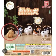 こぎさんぽ おもちゃのキャッチが下手なコーギー レッド - メルカリ