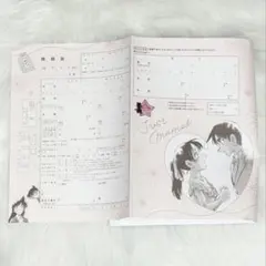 【匿名配送】名探偵コナン 婚姻届 100万ドルの五稜星 CanCam 付録のサムネイル