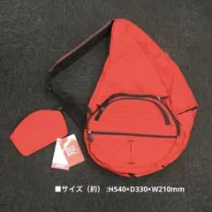 【未使用】HEALTHY BACK BAG ヘルシーバックバッグ ビッグバッグのサムネイル