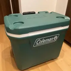 콜맨 그린 쿨러 박스