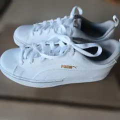 【未使用・新品】PUMA SOFTFOAM プーマ スニーカー　白　23cm