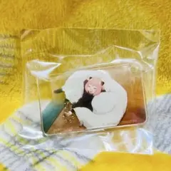 SPY×FAMILY アクリルキーホルダー アクキー アーニャ&ボンド(6)