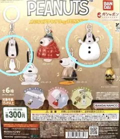 PEANUTS めじるしアクセサリー　FUNNY ver. 2種