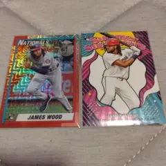 JAMES WOOD 2枚セット