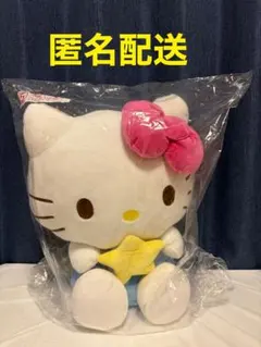 かんちゃん様 リクエスト 2点 まとめ商品