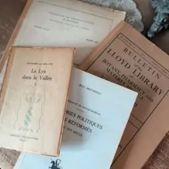 べにおママ様 リクエスト 2点 まとめ商品