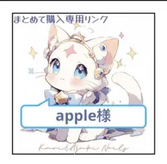 apple様 リクエスト 2点 まとめ商品「150円割引」