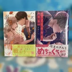 ハズレではじまる溺愛人生～仕組まれた恋の相手はハイスぺ社長3☆他1冊☆