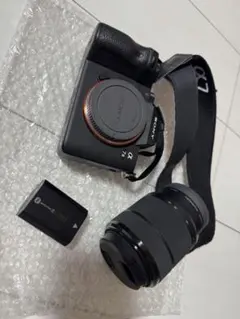 豪華おまけ・すぐ使える】SONY α7 III ズームレンズセット - メルカリ
