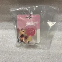 ズートピア　ブリスターチャームコレクション　アイスキャンディー