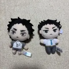 ハイキュー　赤葦京治　ラウンドワン　セガラッキーくじ