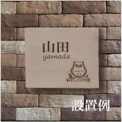 Item thumbnail for item 72e1d8ed-6c08-4c90-8ec3-f72cf04188c4