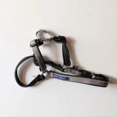 Item thumbnail for item e92d8c8c-d027-48e8-ba87-2db7b0ab5ad5