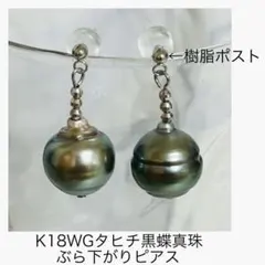 M0118-2)K18WGタヒチ黒蝶真珠ペンダントトップ - メルカリ