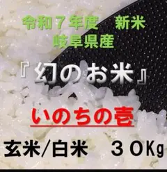 幻のお米　令和7年『いのちの壱』　岐阜産　新米　玄米(精米可)３０kg　送料無料のサムネイル