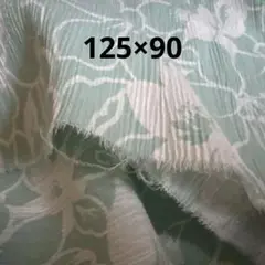 高島ちぢみ　125×90
