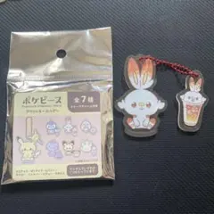 ポケピース ヒバニー アクリルキーホルダー サンキューマートのサムネイル