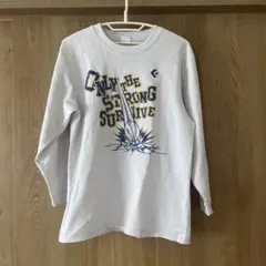 CONVERSE バスケ ロンTのサムネイル