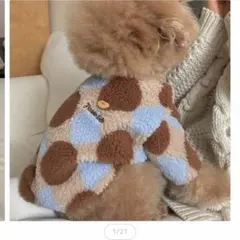 韓国　犬用品　犬服