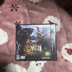 ニンテンドーds ソフト